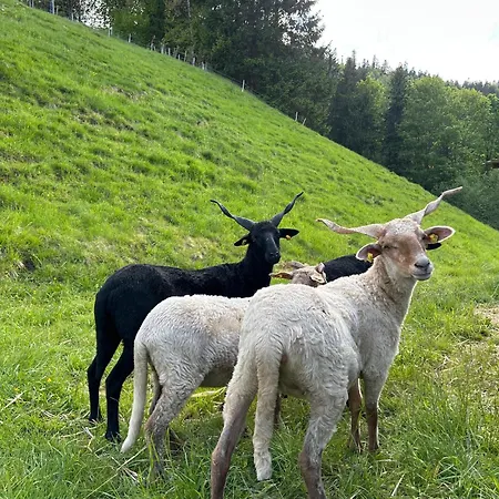 Appartement Linsingerhof *